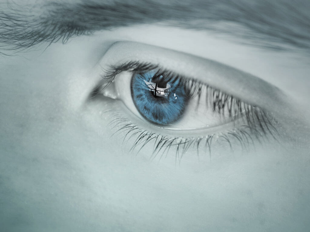 Read more about the article Target the 5 senses with your exhibition stand and campaign